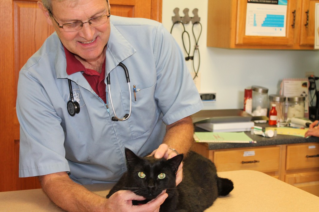 Dr. Ted Gerber doing a general check-up on a patient