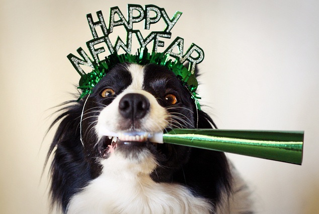 Don’t forget your pets in 2015