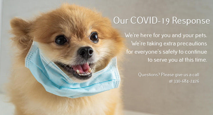 Vets are “Essential” (COVID Update)